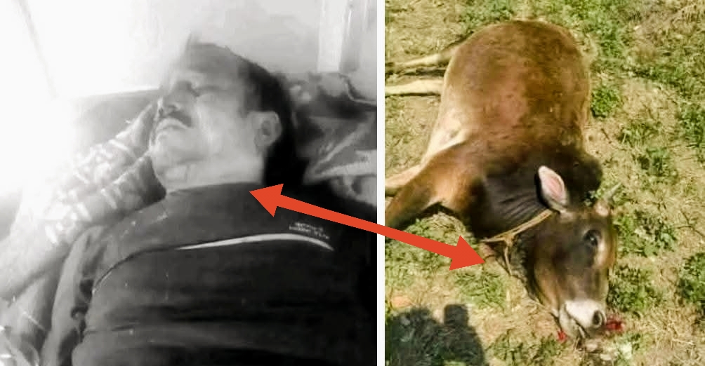 बझाङमा मकै रोप्न खेत जोत्दै गरेका किसान र गोरूसहित भिडबाट ५०० मिटर तल खस्दा हल गोरूसंगै मृत्यु