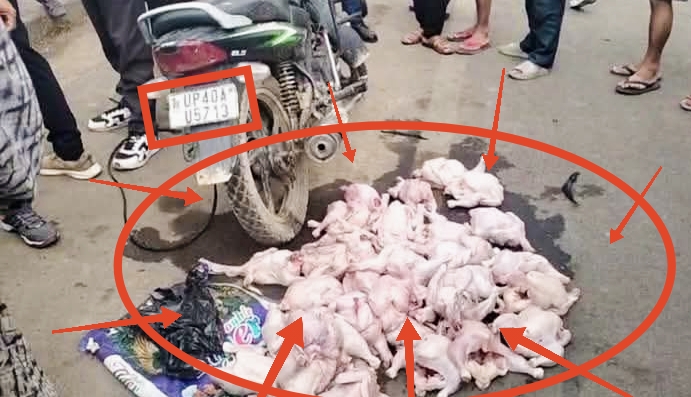 नेपालगन्जमा तस्करीको अबैध बोइलर कुखुराको मासुसहित भारतीय मोटरसाइकल पक्राउ,