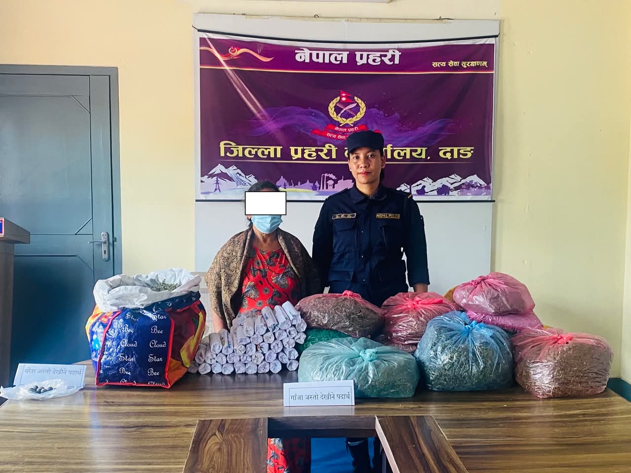दाङ प्रहरीले ठुलो मात्रमा लागुऔषध गाजासहित एक महिला पक्राउ,