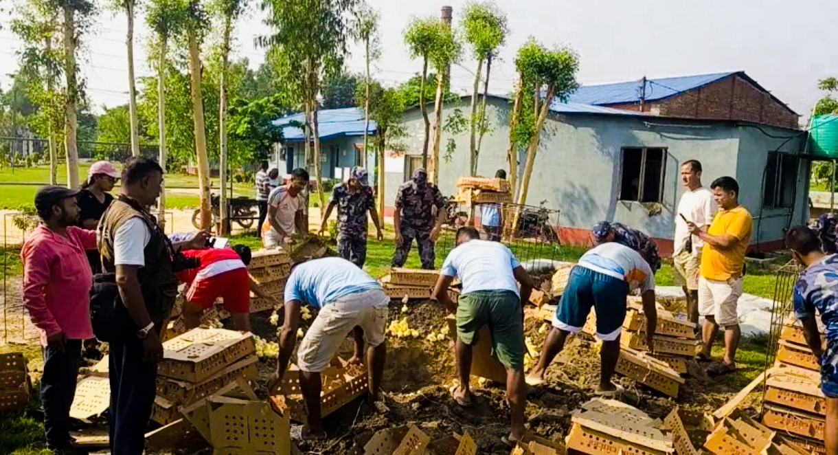 सशस्त्र प्रहरी पर्साले भारतबाट अवैध तस्करीको प्रतिबन्धित ७ हजार ५०० गोटा कुखुराको चल्ला पक्राउ,