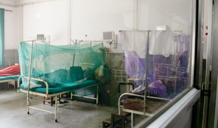 चर्को घाम वर्षायामको सुरुवात सँगै देशभर (डेंगु) संक्रमणको जोखिम बढयो होशियार