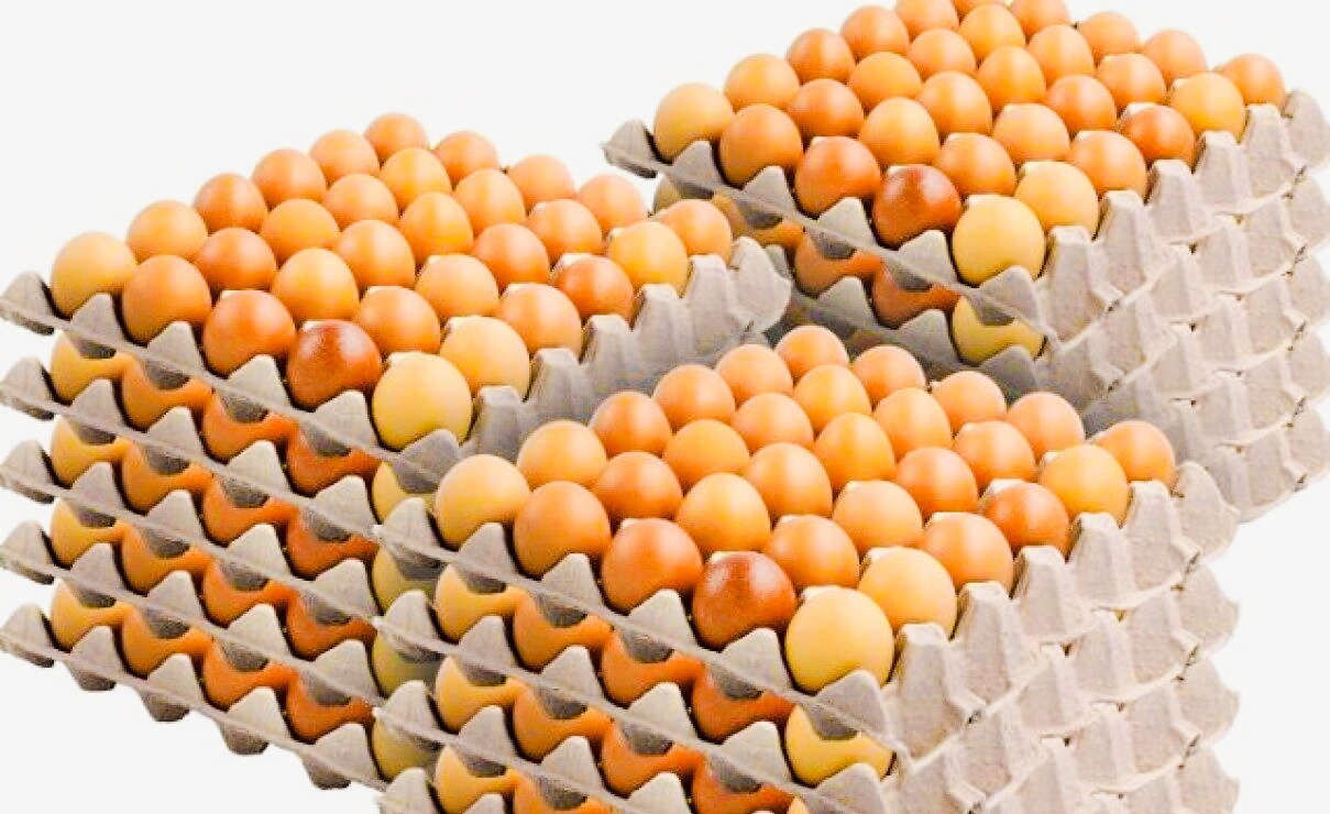 अण्डाको मुल्य फेरि बढ्यो नयाँ दररेट प्रतिक्रेट ३० वटाको ५ सय २५ रुपैया कायम,