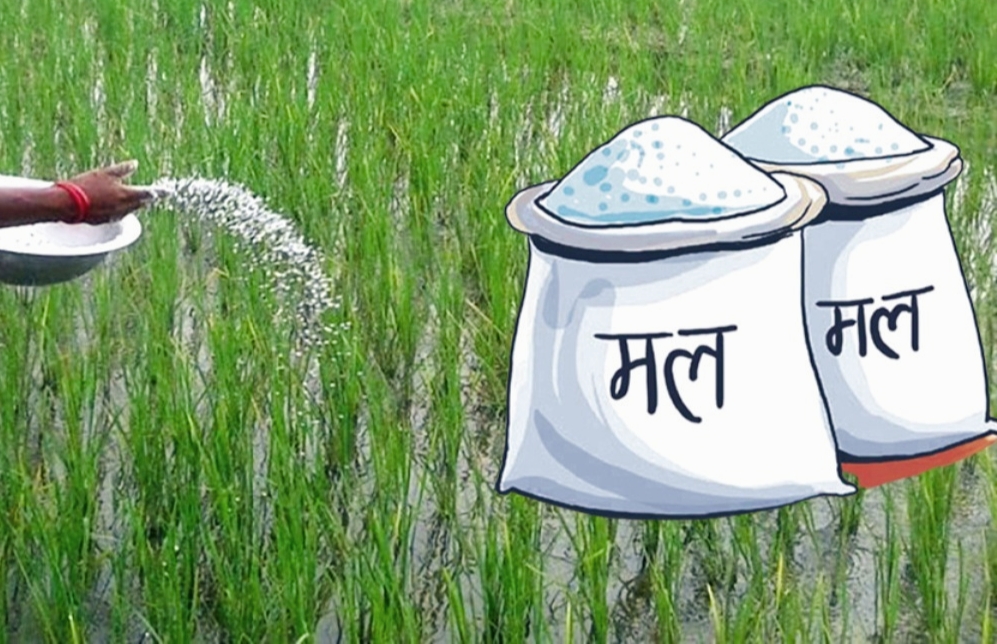 खेतीको समयमा बाँके जिल्लामा मलको चरम अभाव किसानहरुले मल नपाएपछि तनाव र चिन्ता,