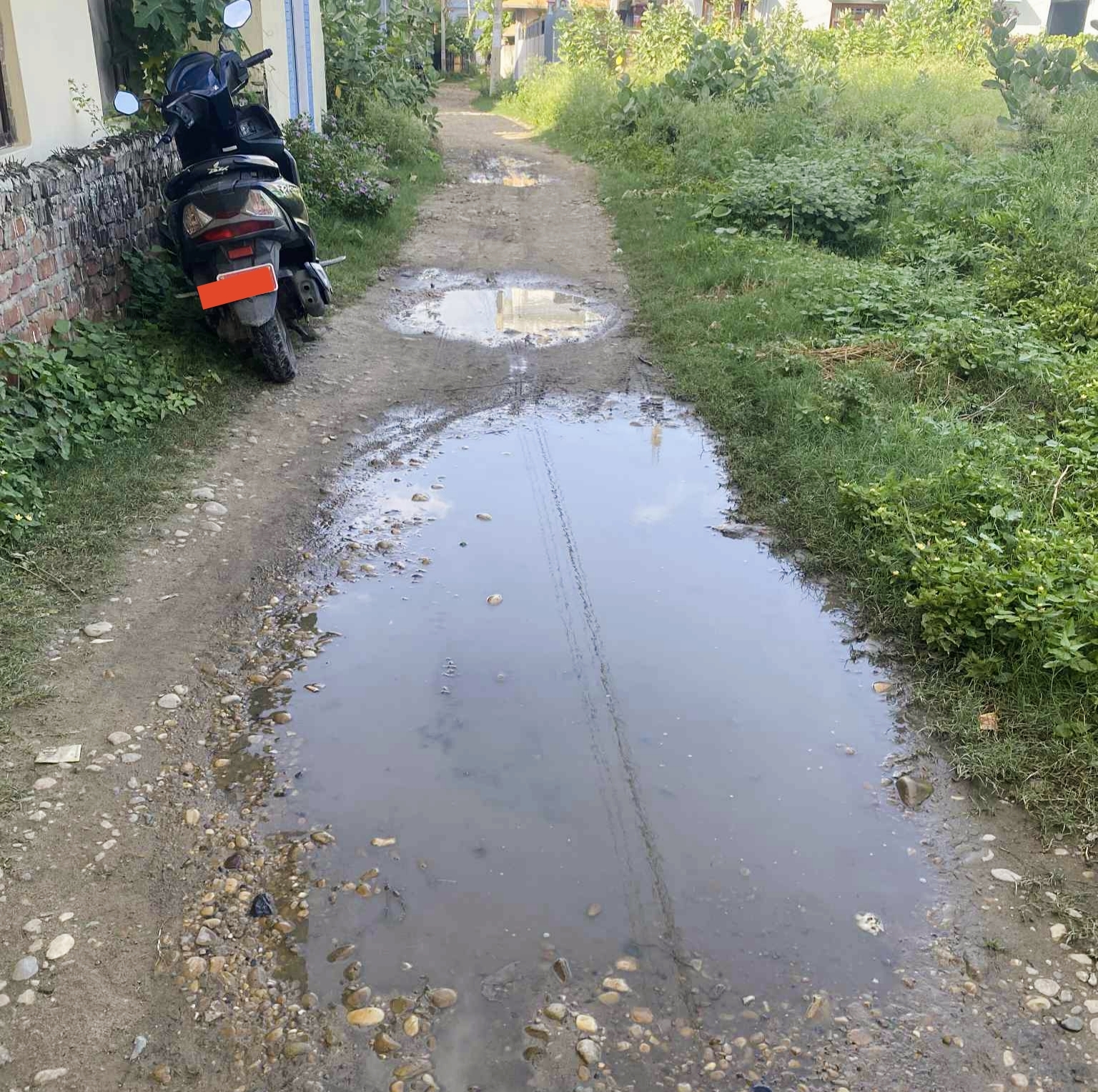 नेपालगन्जको ४ नम्बर वडाको कच्ची सडकले उस्तै दु:ख,वडा अध्यक्ष गोपाल पुनको बेवास्ता ?