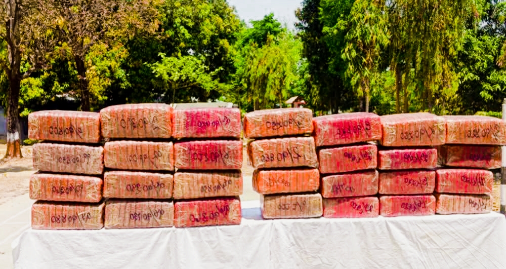 महोत्तरीबाट प्रहरीले ४ सय ७० किलो गाँजासहित ट्रक चालक पक्राउ