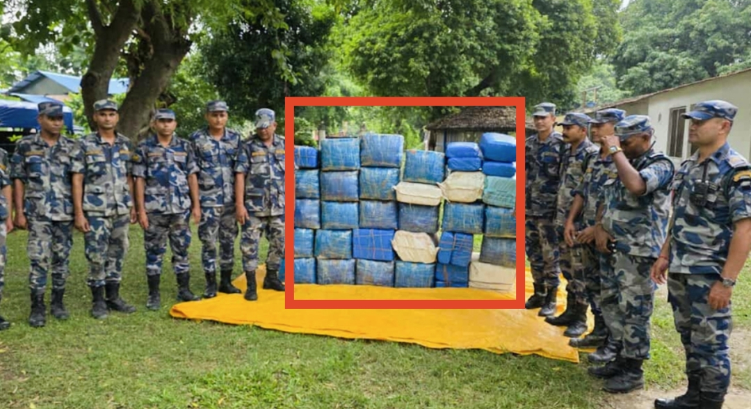 सशस्त्र प्रहरीले धनुषाबाट ठूलो परिमाणमा लागूऔषध गाँजा बरामद,