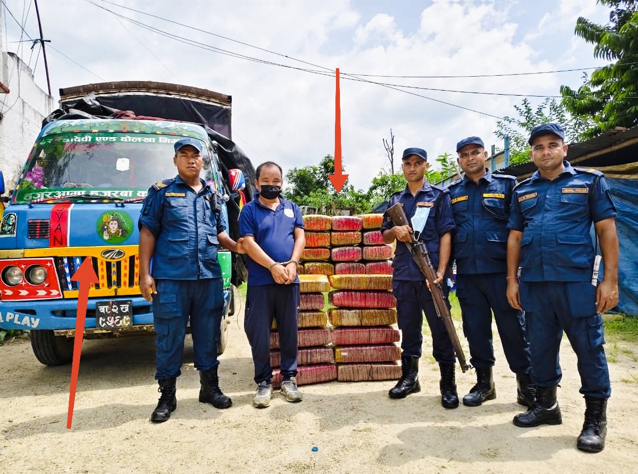 बारा प्रहरीले करिब २ सय ३६ किलोग्राम गाँजासहित मिनिट्रक चालक पक्राउ,