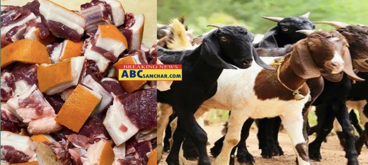 दाङको घोराहीमा खसीको अभाव बढेसँगै मासु पसलहरू अनिश्चितकालका लागि बन्द भए,