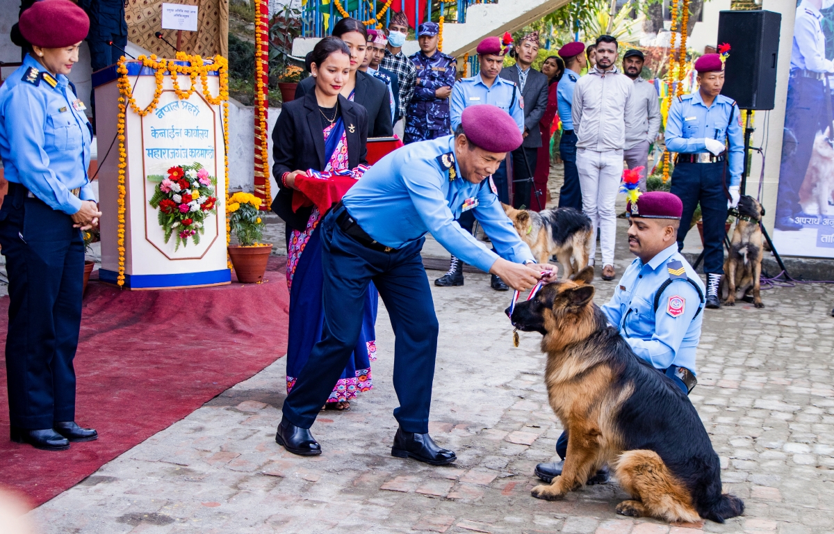 कुकुरलाई पूजा गरी मिठाइ खुवाउने परम्परा अनुसार कुकुर तिहार मनाउदै,