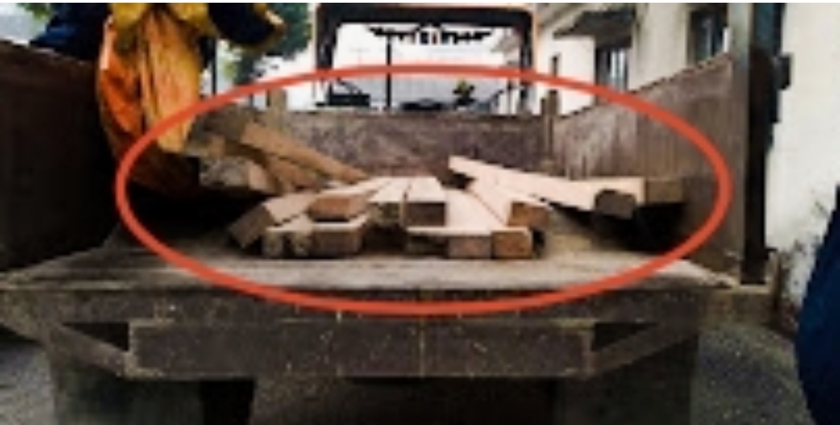 दाङ प्रहरीद्वारा दाङको देउखुरीबाट १४ थान अबैध सालको काठसहित २ जना पक्राउ,