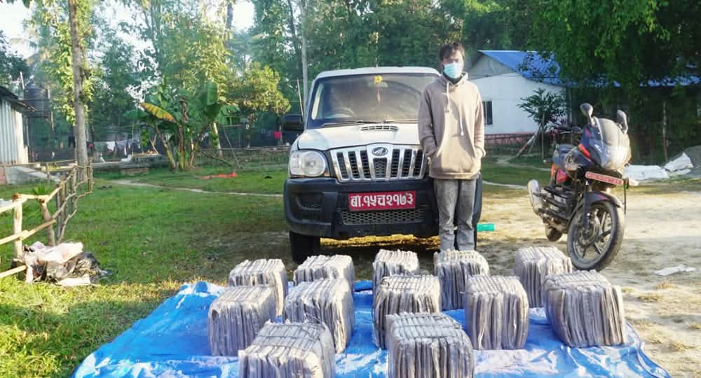 सुनसरीमा हवाई फायर गरेर १५३ किलो गाँजा एकजना पक्राउ,