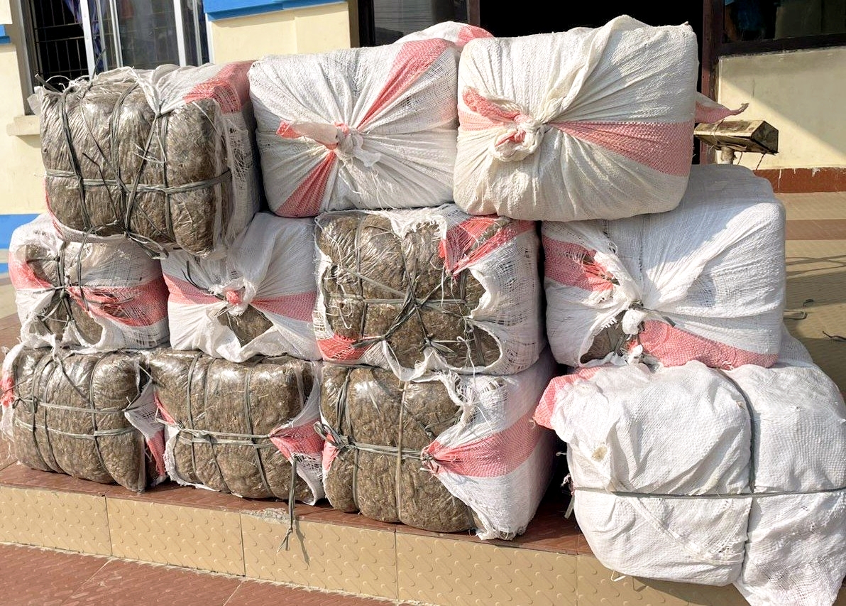 चितवन पर्सा राष्ट्रिय निकुञ्ज वन क्षेत्र हुँदै विभिन्न स्थानमा भण्डारण गरी भारततर्फ गाजा तस्करी