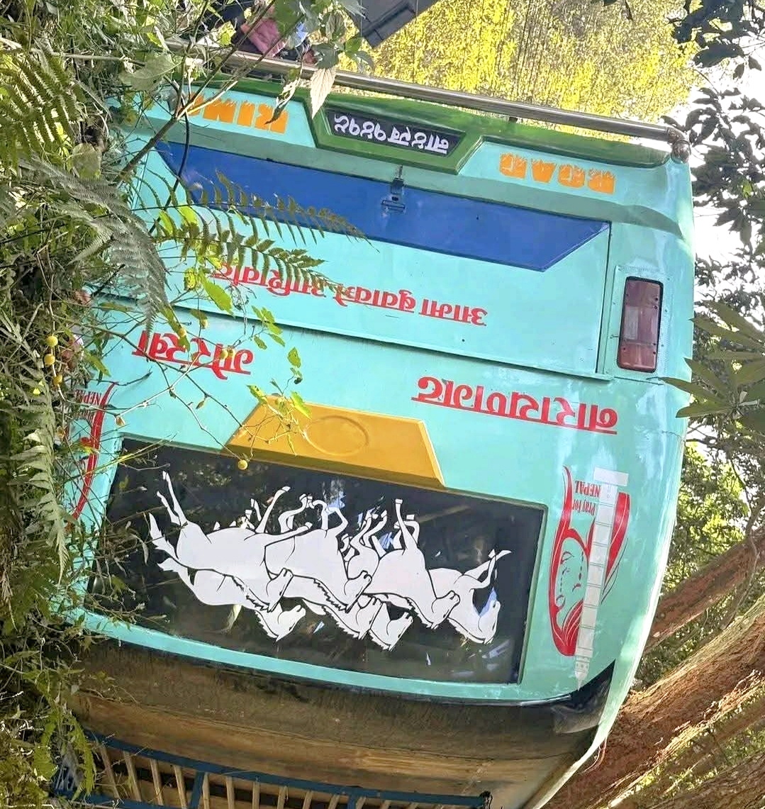 गोरखाबाट चितवनतर्फ जाँदै गरेको यात्रुबाहक बस आइतबार दुर्घटना १८ जना घाइते,