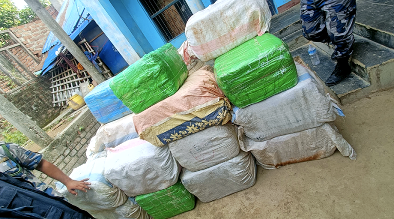 पर्साबाट लागूऔषध गाँजा करिब १ सय ४ किलो ३ सय २५ ग्राम सहित २ जना पक्राउ