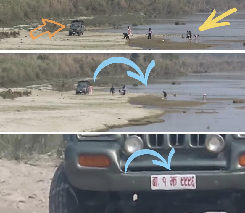 जनावरले पानी खाने ठाँउमा पर्यटकले बाघ हेर्न नदी किनारमा गाडी रोके निकुञ्जको लापरबाही किन?